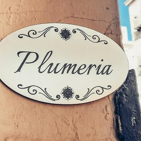 Plumeria Vacanze In Centro A Palermo- Isidoro Carini Zona Politeama Apartmán